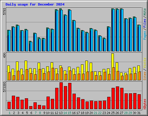 Daily usage for December 2024