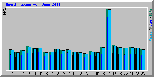 Hourly usage for June 2016