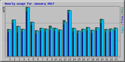 Hourly usage for January 2017