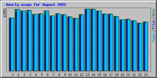 Hourly usage for August 2022