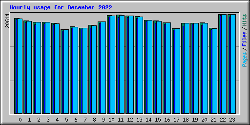 Hourly usage for December 2022