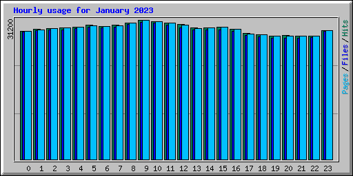 Hourly usage for January 2023