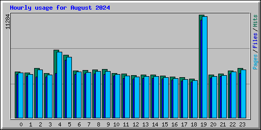 Hourly usage for August 2024
