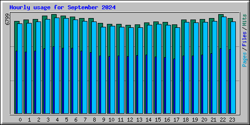 Hourly usage for September 2024