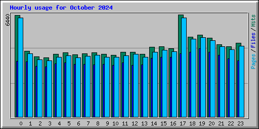 Hourly usage for October 2024