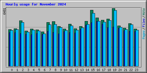 Hourly usage for November 2024