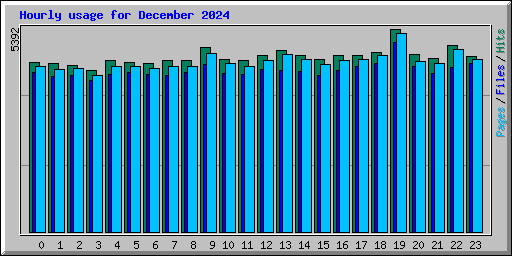 Hourly usage for December 2024