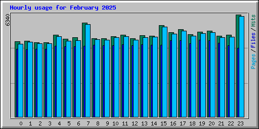 Hourly usage for February 2025