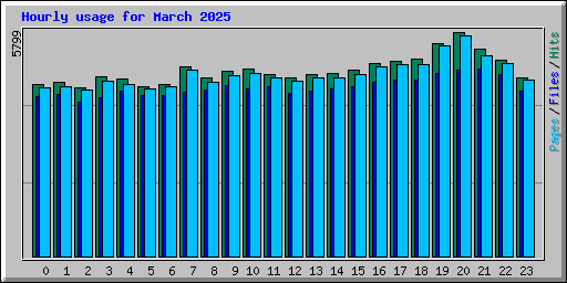 Hourly usage for March 2025