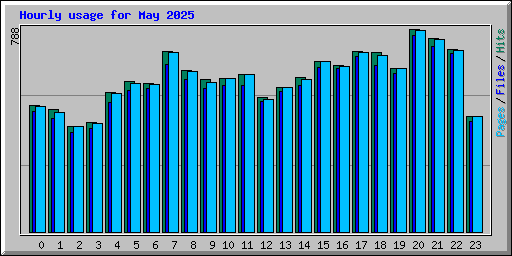 Hourly usage for May 2025