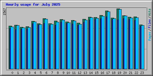 Hourly usage for July 2025