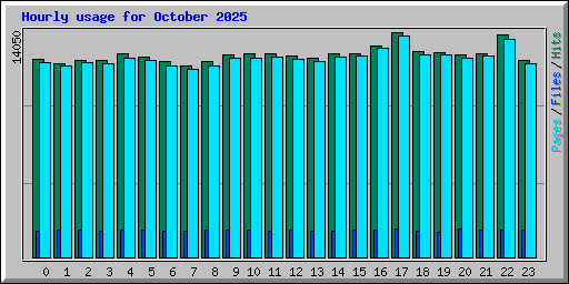 Hourly usage for October 2025