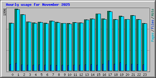 Hourly usage for November 2025